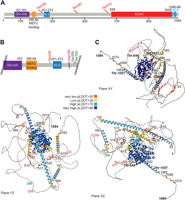 FIGURE 2