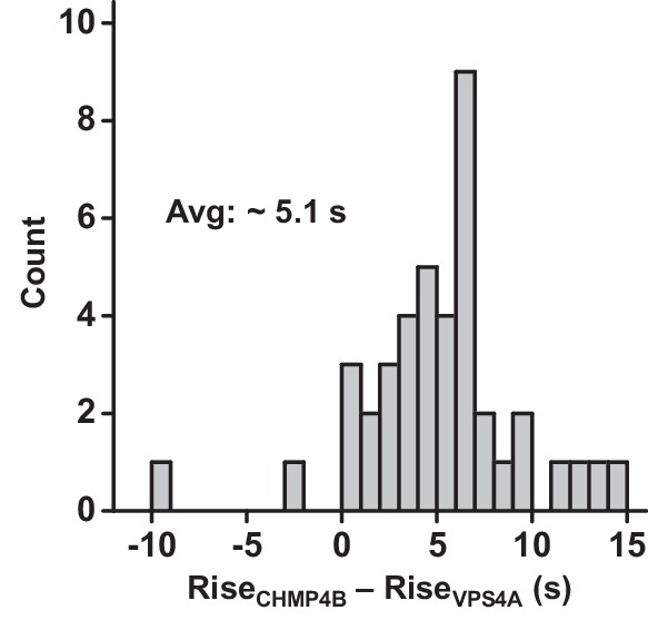 Figure 1—figure supplement 4.