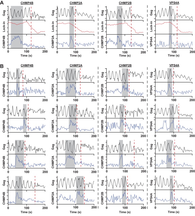 Figure 1—figure supplement 2.