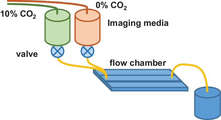 Figure 1—figure supplement 1.