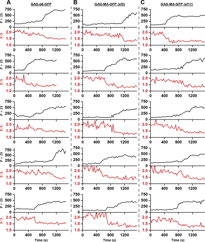 Figure 4—figure supplement 1.