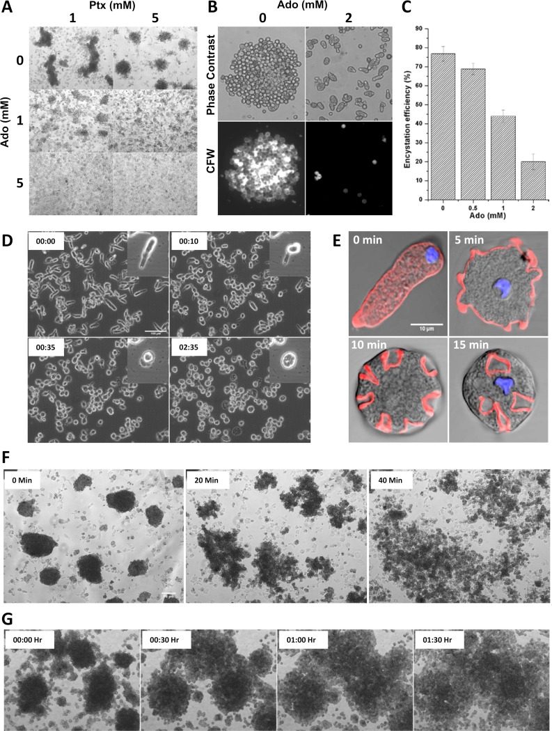 FIG 12