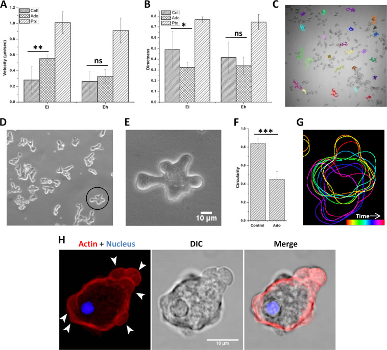 FIG 8