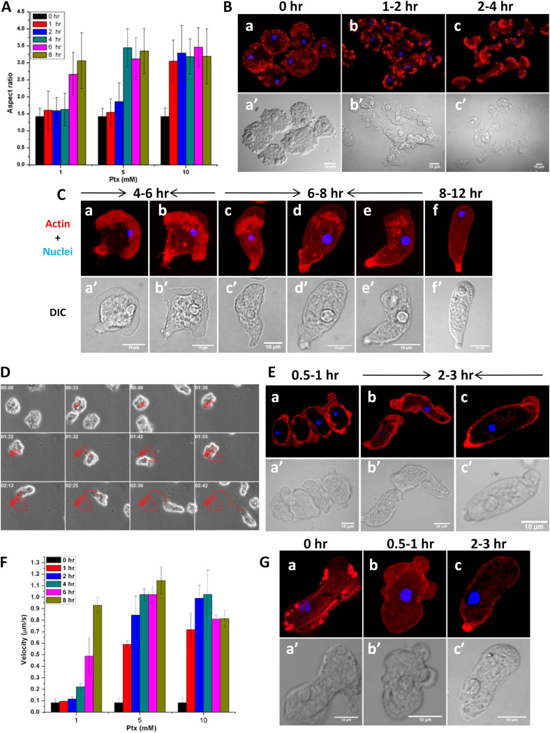 FIG 6