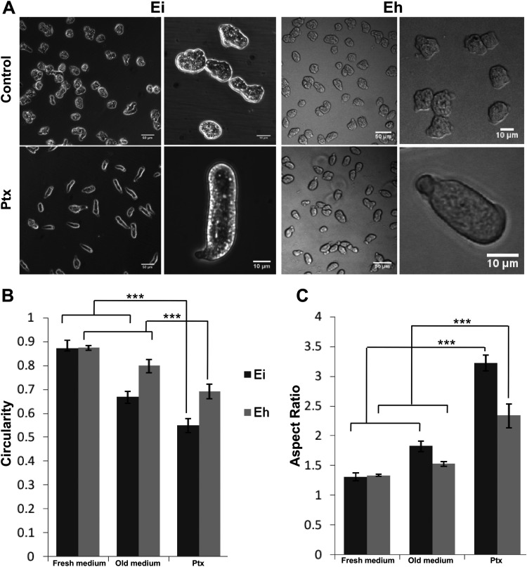 FIG 1