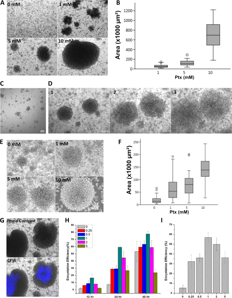 FIG 10