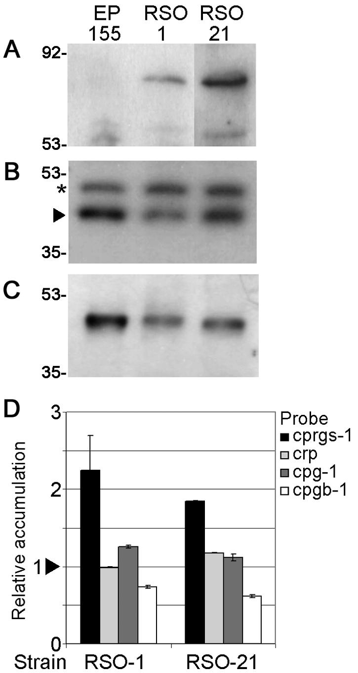 FIG. 6.