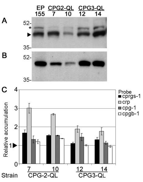 FIG. 8.