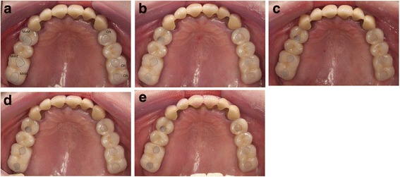 Fig. 3