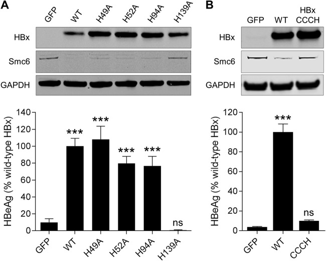 FIG 6