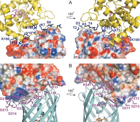 FIGURE 4.