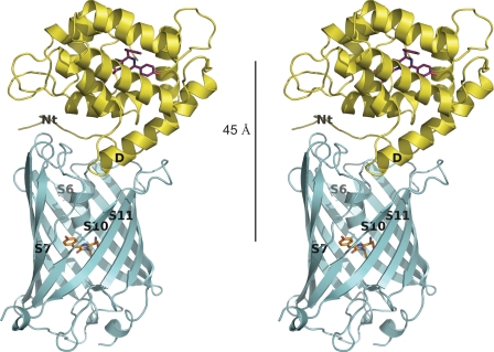 FIGURE 3.