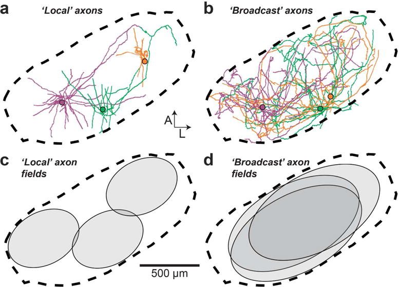 FIGURE 11