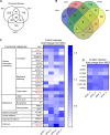 FIG 2