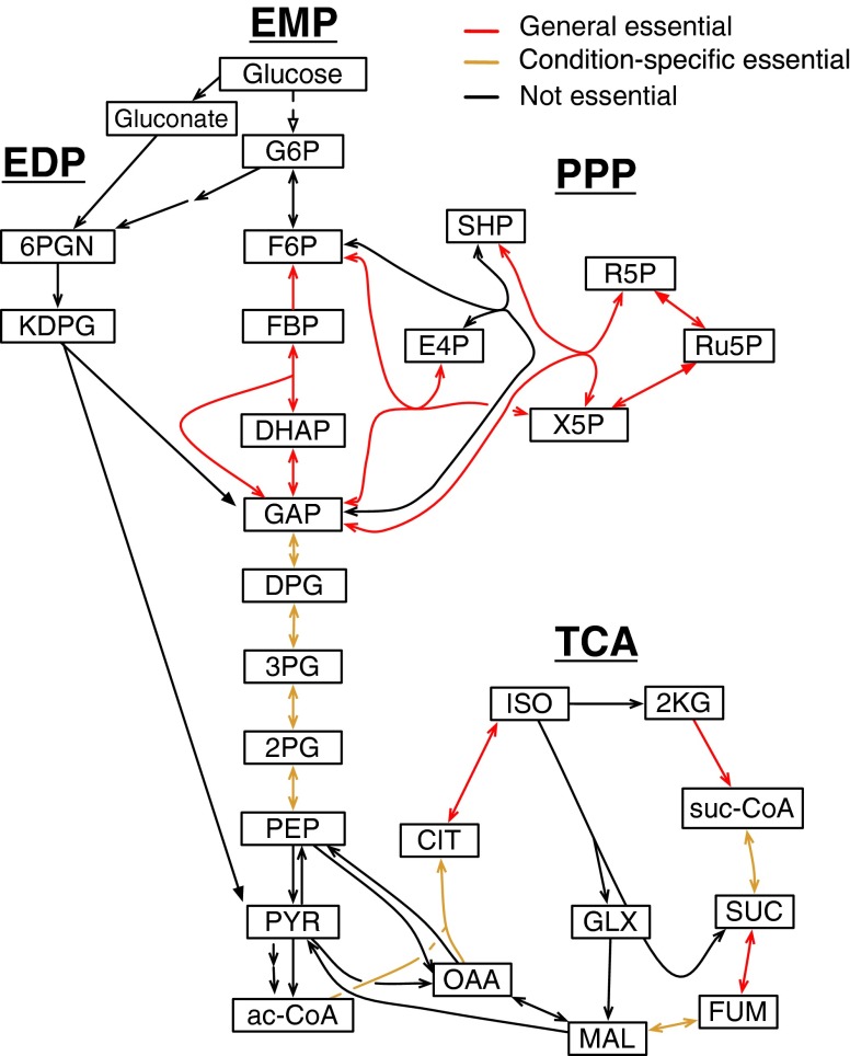 Fig. 3.