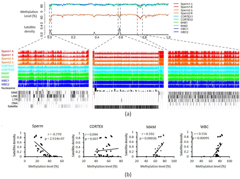 Figure 2: