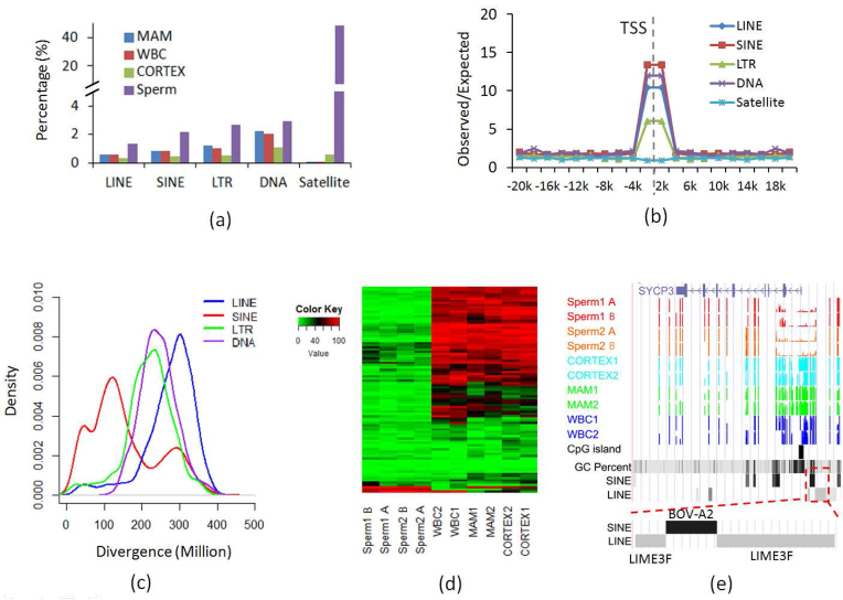 Figure 5: