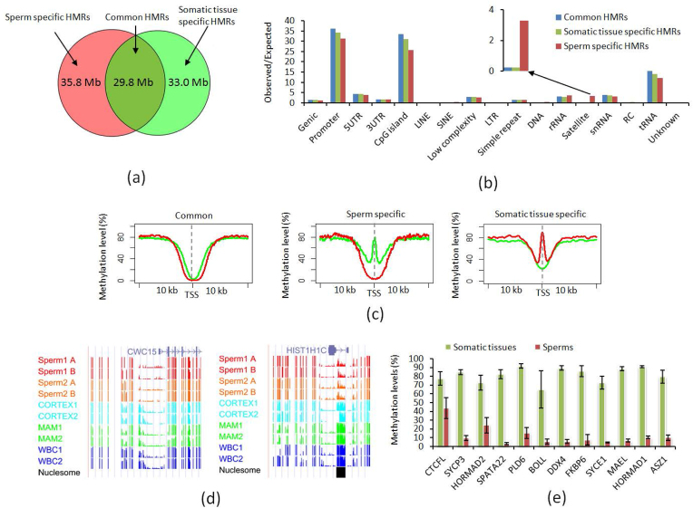 Figure 4: