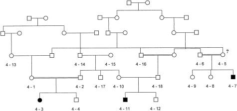 Figure  1