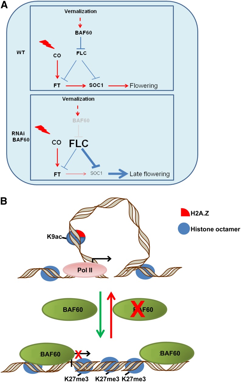 Figure 9.