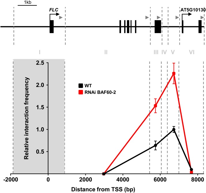 Figure 7.