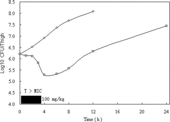 FIG 2