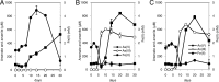 Fig 5