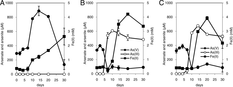 Fig 5