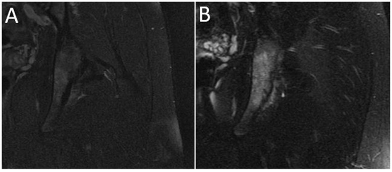 Fig. 3 –