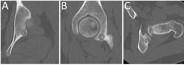 Fig. 5