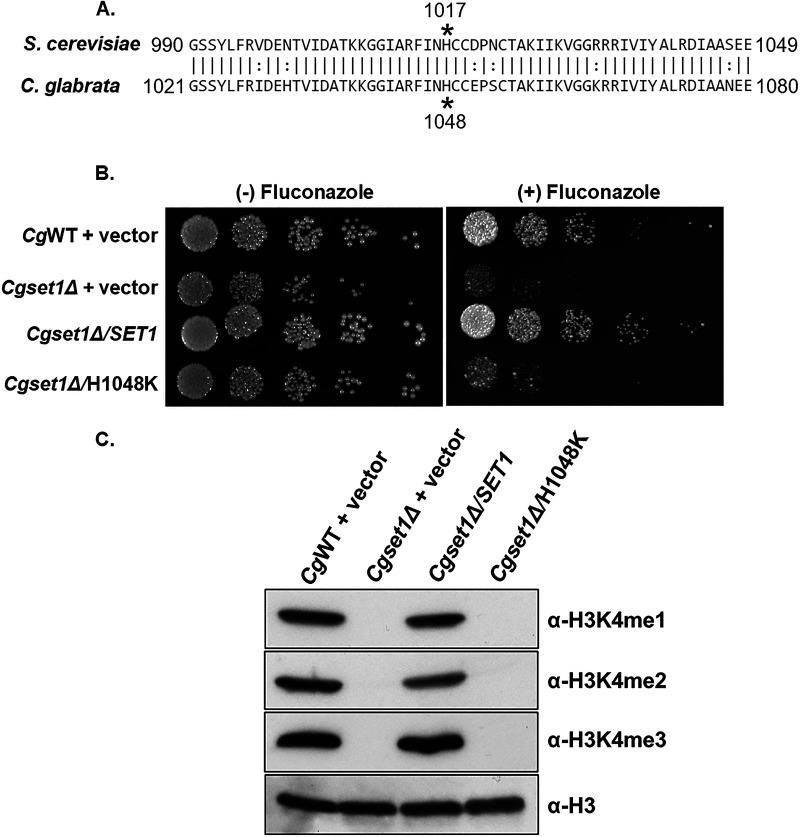 FIG 3