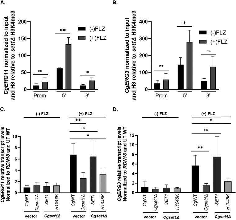 FIG 6