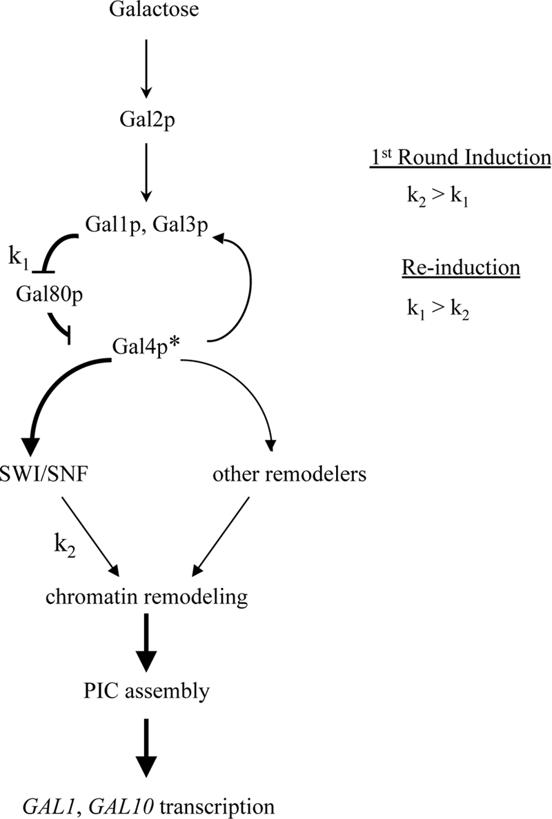 FIG. 7.