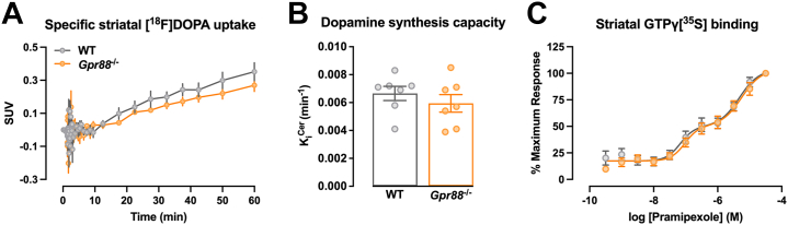 Figure 6