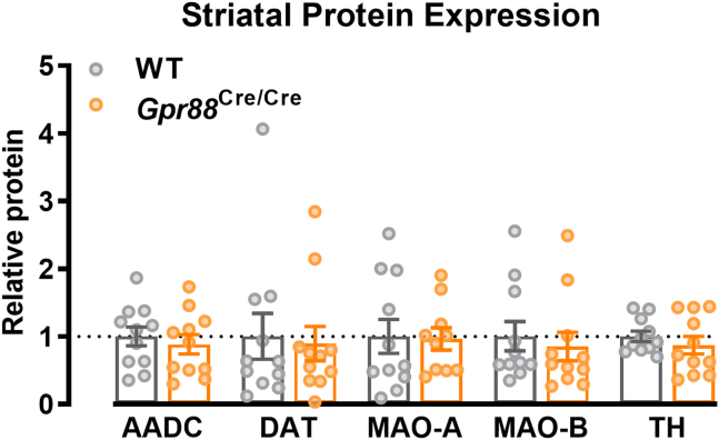 Figure 5