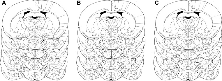 Fig. 1.