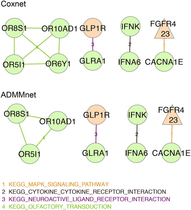 Figure 5