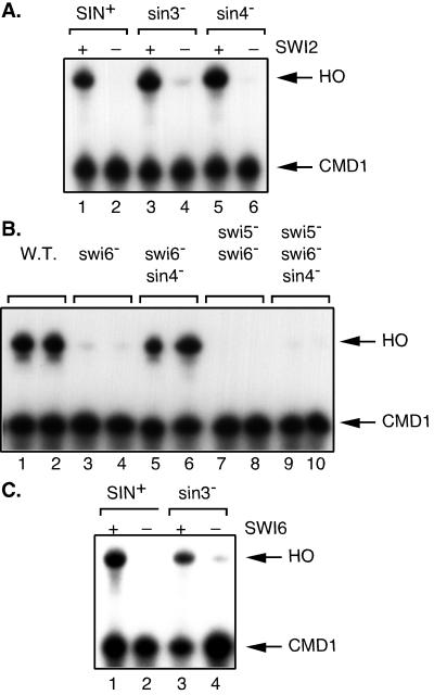 FIG. 4