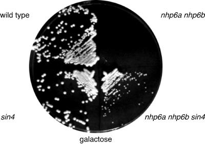 FIG. 6