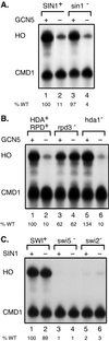 FIG. 1