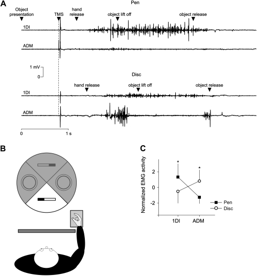 Fig. 1