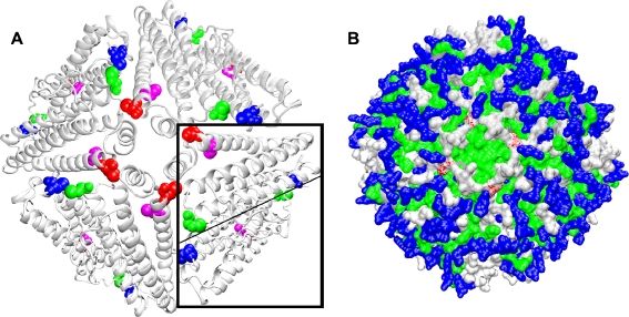 Fig. 7