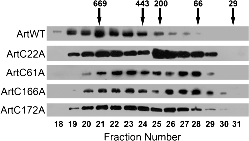 Fig. 5