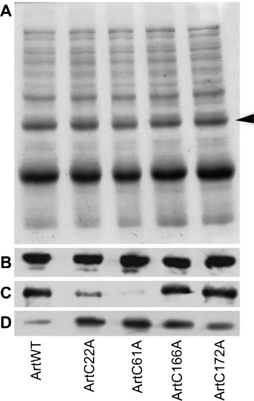 Fig. 6