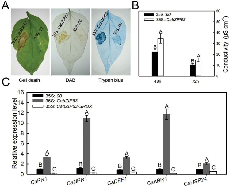 Fig. 3.