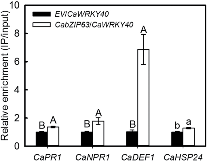 Fig. 6.