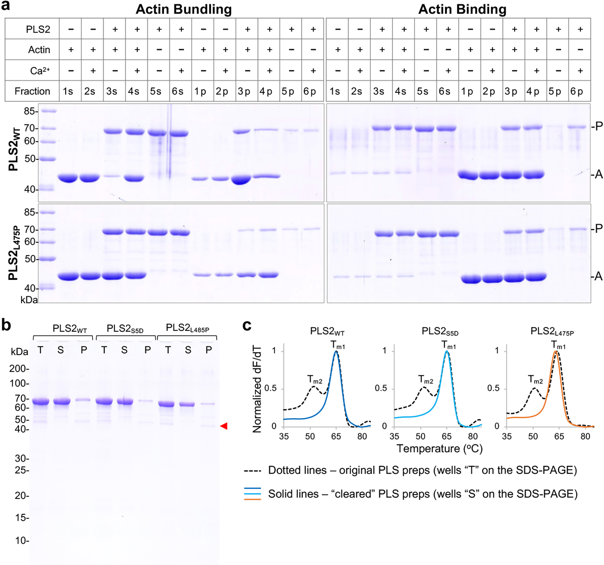 Extended Data Figure 3