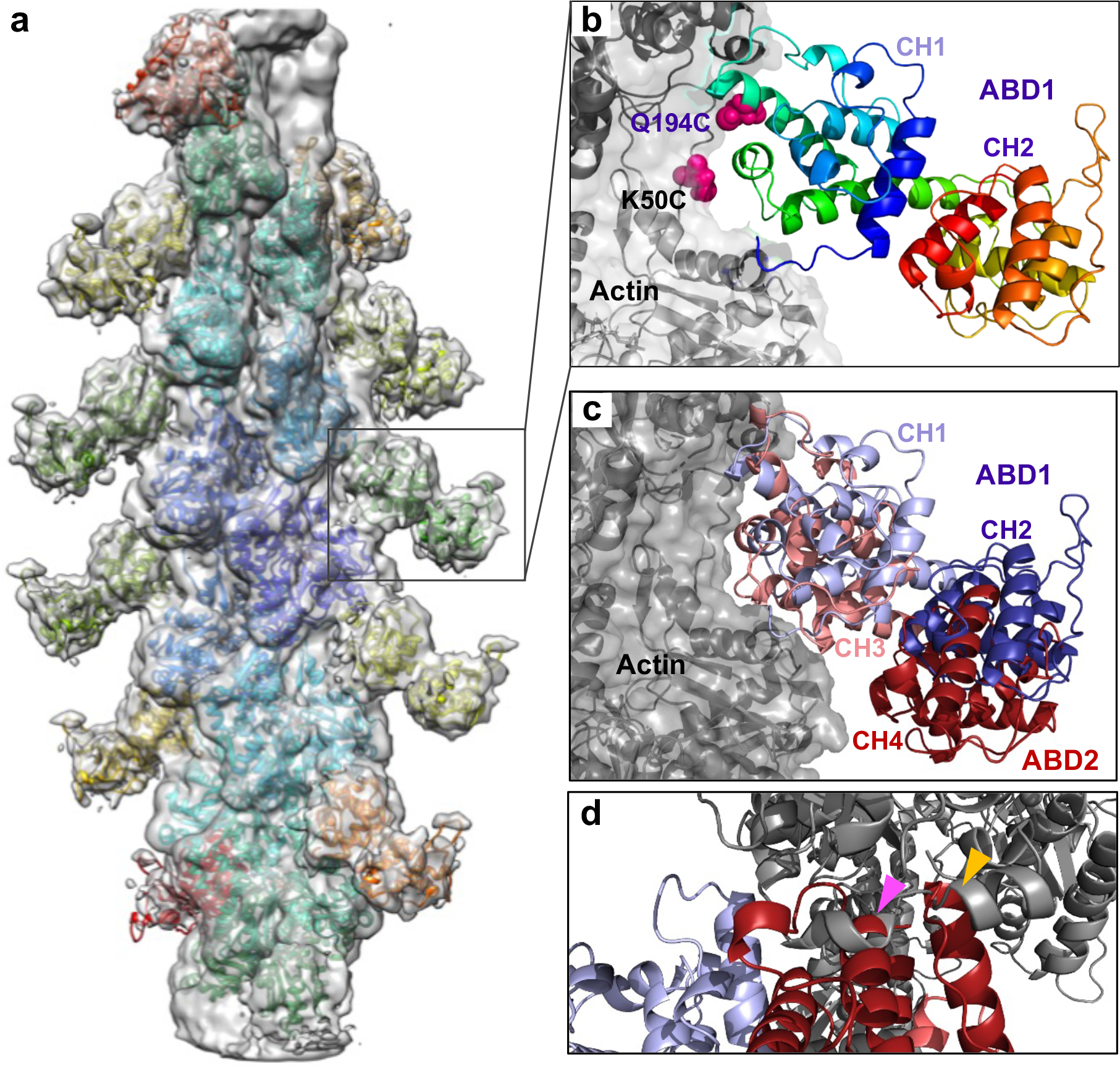 Figure 4.