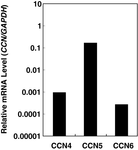 Fig. 4