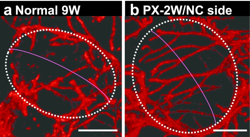 Fig. 7.